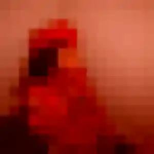 Sandrine (40 ans) à Mormant cherche un rencontre cougar maintenant