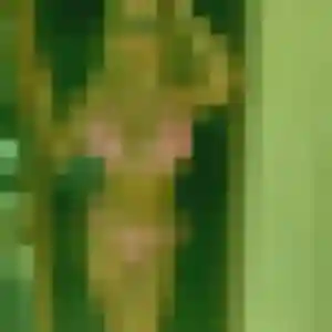Photo de Antoinette à Moulidars (35 ans) - rencontre cougar sans inscription