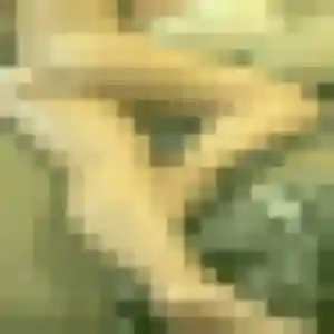 Carole, 55 ans, disponible à Moulins-Engilbert pour une rencontre coquine