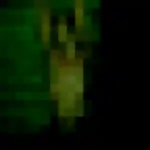 Photo de Paulette à Moulis (51 ans) - rencontre cougar sans inscription