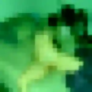 Annick, 42 ans, dispo pour rencontre cougar à Mousseaux-lès-Bray