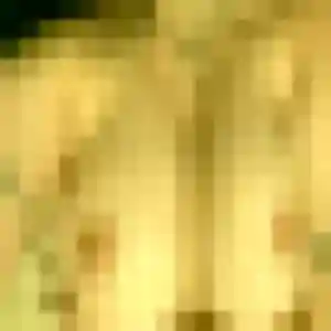 Photo de Josiane à Moutiers-les-Mauxfaits (44 ans) - rencontre cougar anonyme