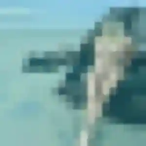Sexy Therese, 46 ans à Mouzeuil-Saint-Martin - découvrir son profil