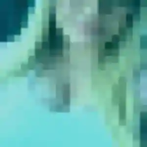 Profil de Agnes à Mtsamboro (48 ans) - rencontre cougar anonyme