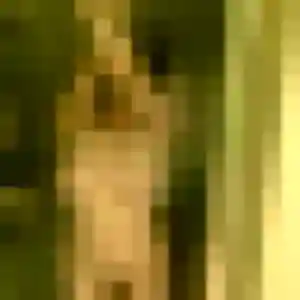 Genevieve (44 ans) à Mussig cherche un rencontre cougar rapidement