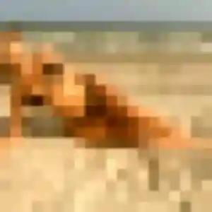 Jeannine, 53 ans, connectée à Nantua pour une rencontre coquine