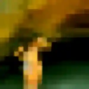 Sexy Lucette, 40 ans à Navès - la contacter