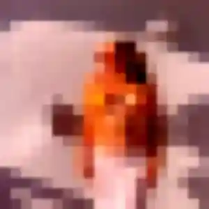 Photo privée de Fabienne, 47 ans à Néoules - plan discret