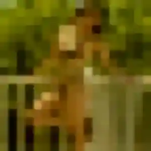Lucette, 52 ans, en ligne à Nerville-la-Forêt pour une rencontre coquine