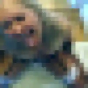 Bernadette, 42 ans, en ligne à Neufchâtel-en-Bray pour un rencontre cougar