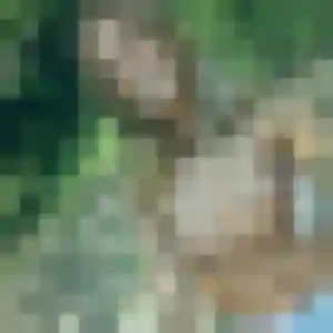 Pierrette, 46 ans, connectée à Neuville-en-Ferrain pour une rencontre coquine