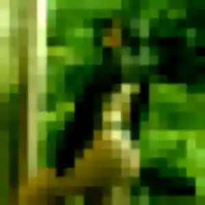 Stephanie, fille de 49 ans cherche rencontre cougar à Neuville-Saint-Vaast