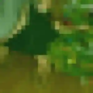 Photo exclusive de Laetitia, 43 ans à Neuvy-en-Sullias - rencontre coquine