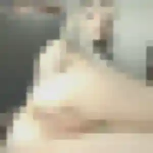Regine (43 ans) à Niederhergheim attend une rencontre maintenant