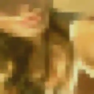 Raymonde, 41 ans, veut un rencontre cougar à Normanville