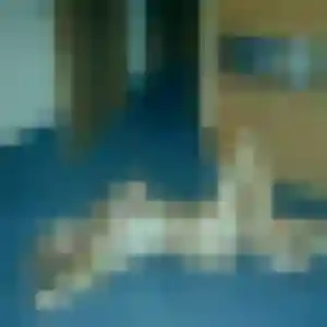 Belle Stephanie, 48 ans à Nouainville - voir sa photo