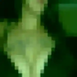 Severine (38 ans) à Olmeto attend une rencontre ce soir