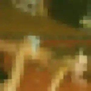 Photo sexy de Severine, 37 ans à Orleix - rencontre coquine