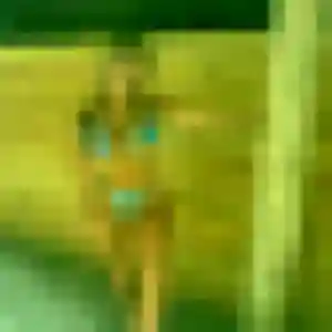 Photo privée de Lydia, 36 ans à Osthouse - rencontre sans lendemain