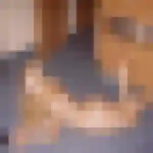 Karine, 48 ans, veut un rencontre cougar à Paillet