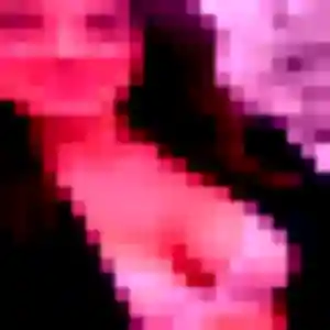 Contacte Eliane, 40 ans à Paimpont en t'inscrivant
