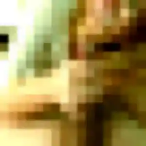 Profil de Elisabeth à Perceneige (38 ans) - rencontre cougar discret