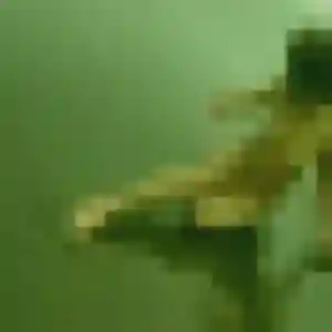 Fabienne, 37 ans, en ligne à Perdreauville pour un rencontre cougar