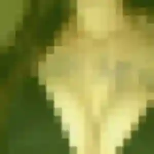 Photo exclusive de Severine, 47 ans à Pierre-Châtel - rencontre sans lendemain
