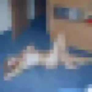 Stephanie (54 ans) à Pierres attend un rencontre cougar maintenant