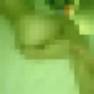 Rejoins Denise, 43 ans à Pinsaguel gratuitement