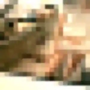 Carole, 48 ans, veut un rencontre cougar à Pissos