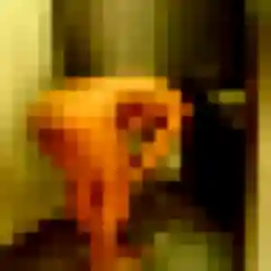 Profil de Helene à Plémet (39 ans) - rencontre cougar discret