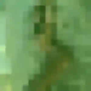 Profil de Aurelie à Pleumartin (42 ans) - rencontre cougar gratuit