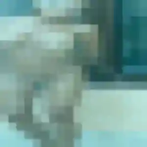 Photo privée de Marie-Helene, 43 ans à Pleurs - plan discret
