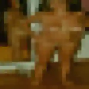 Profil de Nicole à Pleurs (40 ans) - rencontre cougar gratuit
