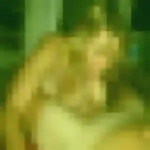 Photo perso de Yvette, 52 ans à Pleyber-Christ - rencontre coquine