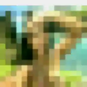 Photo sexy de Sandrine, 49 ans à Plozévet - rencontre sans lendemain