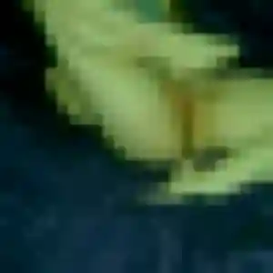 Sexy Stephanie, 38 ans à Poissy - découvrir son profil