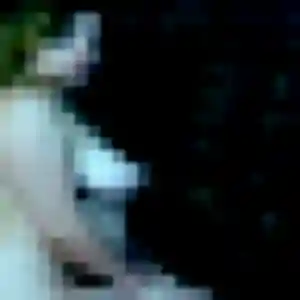 rencontre cougar à Pomérols : photo de Lucienne, 40 ans - accès libre