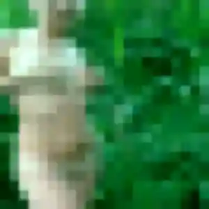 Beatrice, 44 ans, dispo pour rencontre cougar à Pont-de-Larn