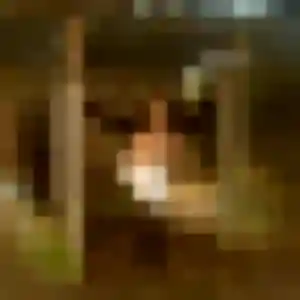 rencontre cougar à Porcaro : photo de Cecile, 46 ans - inscription gratuite