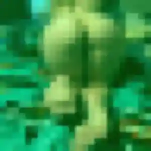Sexy Marie-Claude, 49 ans à Poullan-sur-Mer - découvrir son profil