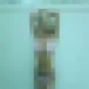 rencontre cougar à Prahecq : photo de Paulette, 54 ans - inscription gratuite
