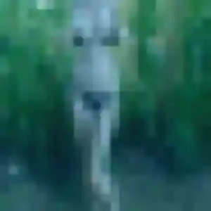 Photo privée de Sophie, 35 ans à Prinquiau - plan discret