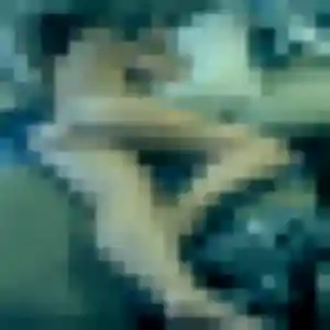 Photo privée de Carole, 35 ans à Prunet - rencontre coquine