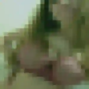 Profil de Christine à Puilboreau (49 ans) - rencontre cougar gratuit