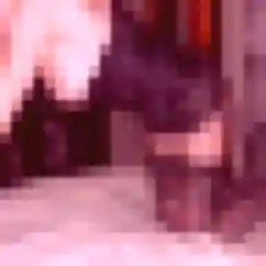 Profil de Pascale à Puttelange-aux-Lacs (51 ans) - rencontre cougar gratuit