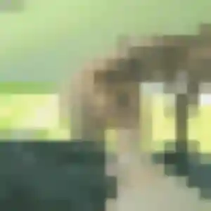 Elisabeth (40 ans) à Quiéry-la-Motte attend un rencontre cougar ce soir