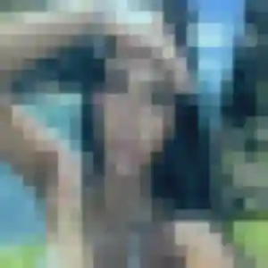 Photo perso de Sandrine, 40 ans à Rai - rencontre coquine