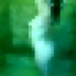 rencontre cougar à Remire-Montjoly : photo de Marie-Claude, 44 ans - accès libre